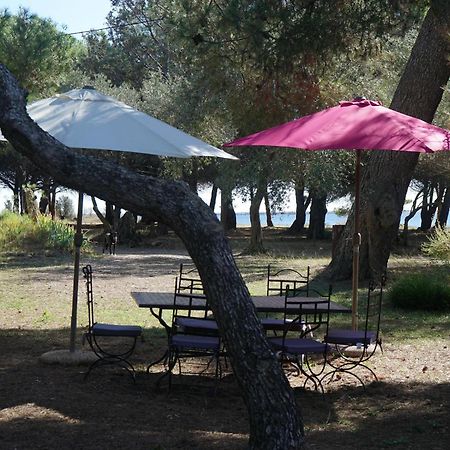 Villa Joli Mas Au Bord De L'Etang De Thau Marseillan  Exterior foto