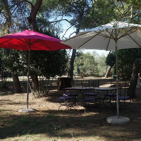 Villa Joli Mas Au Bord De L'Etang De Thau Marseillan  Exterior foto