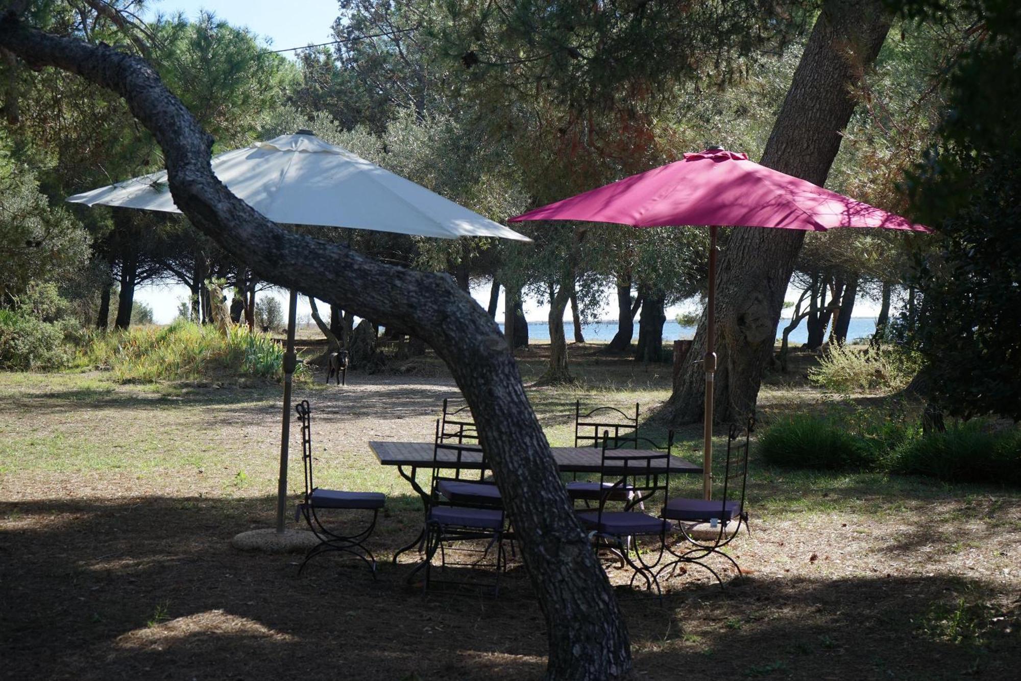 Villa Joli Mas Au Bord De L'Etang De Thau Marseillan  Exterior foto