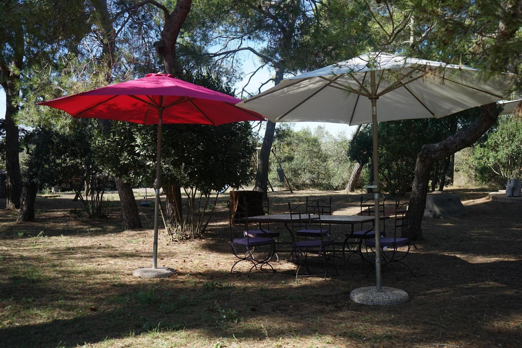 Villa Joli Mas Au Bord De L'Etang De Thau Marseillan  Exterior foto