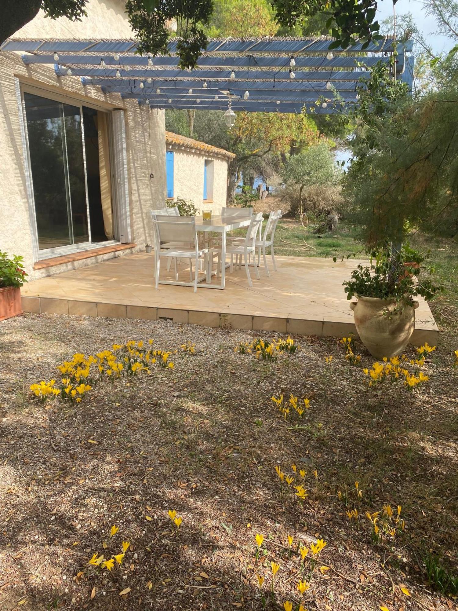 Villa Joli Mas Au Bord De L'Etang De Thau Marseillan  Exterior foto